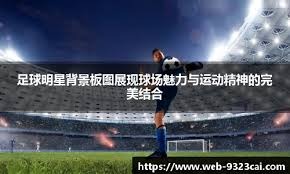 [图]丁俊晖不敌特鲁姆普 止步斯诺克英锦赛8强